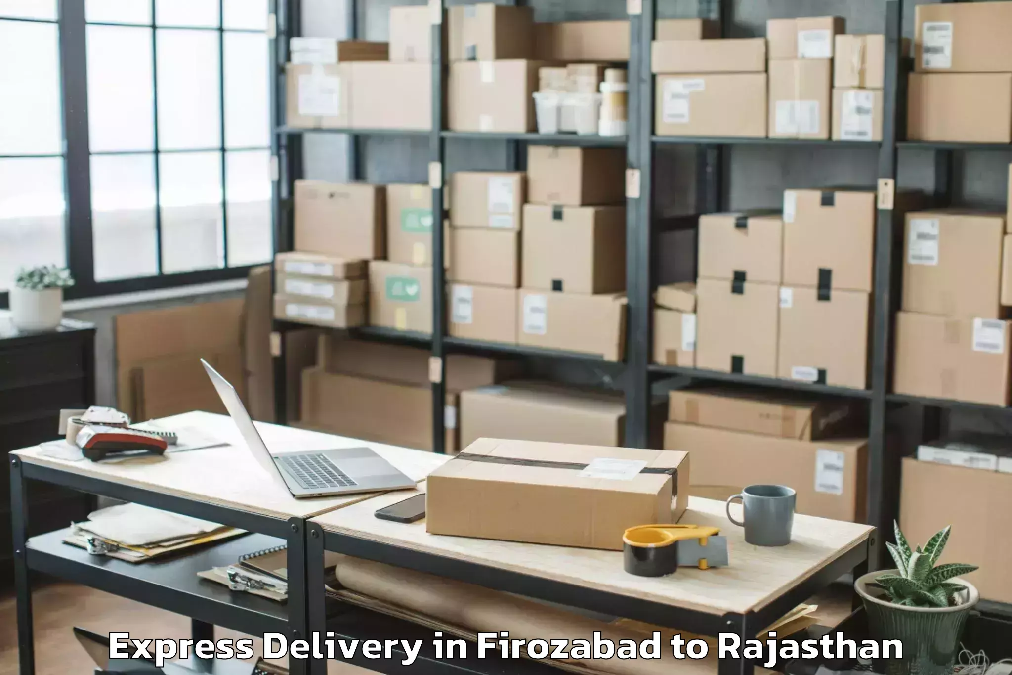 Affordable Firozabad to Bhadsora Express Delivery